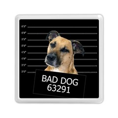 Bed dog Memory Card Reader (Square) 