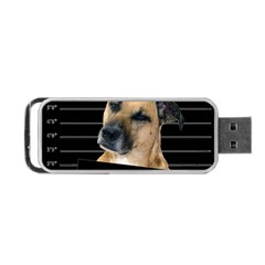 Bed dog Portable USB Flash (Two Sides)