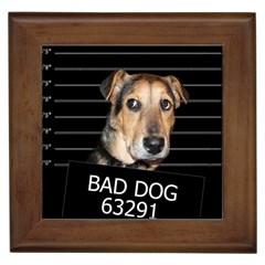 Bed Dog Framed Tiles by Valentinaart