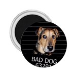 Bed dog 2.25  Magnets Front