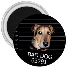 Bed Dog 3  Magnets by Valentinaart