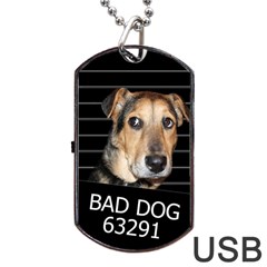 Bed Dog Dog Tag Usb Flash (two Sides) by Valentinaart