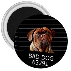 Bed Dog 3  Magnets by Valentinaart