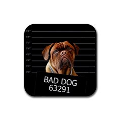 Bed Dog Rubber Square Coaster (4 Pack)  by Valentinaart