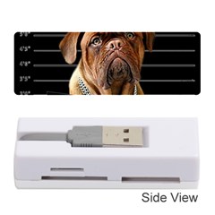 Bed Dog Memory Card Reader (stick)  by Valentinaart