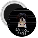 Bad dog 3  Magnets Front