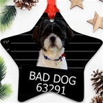 Bad dog Ornament (Star) Front