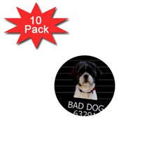 Bad dog 1  Mini Buttons (10 pack) 