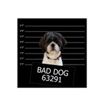 Bad dog Satin Bandana Scarf Front