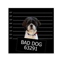 Bad Dog Small Satin Scarf (square)