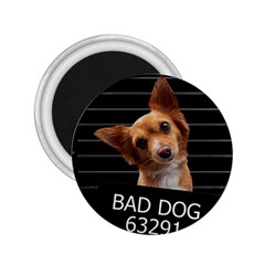 Bad Dog 2 25  Magnets by Valentinaart