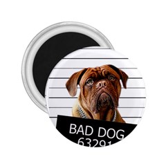 Bad Dog 2 25  Magnets by Valentinaart