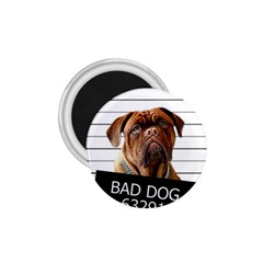 Bad Dog 1 75  Magnets by Valentinaart