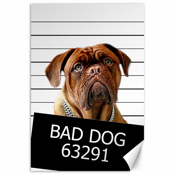 Bad dog Canvas 20  x 30  