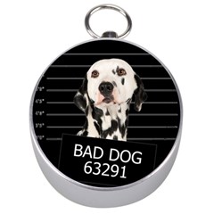 Bad Dog Silver Compasses by Valentinaart