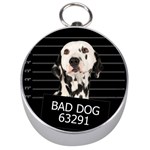 Bad dog Silver Compasses Front