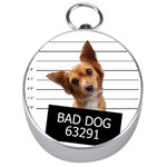 Bad dog Silver Compasses Front