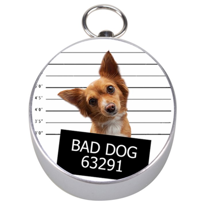 Bad dog Silver Compasses