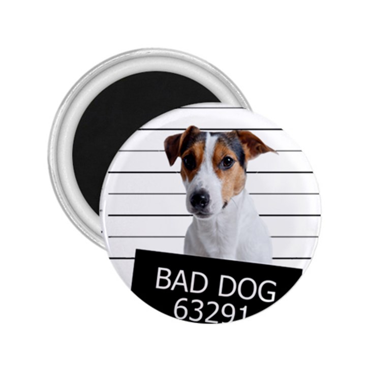 Bad dog 2.25  Magnets