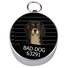 Bad Dog Silver Compasses by Valentinaart