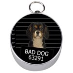 Bad dog Silver Compasses Front