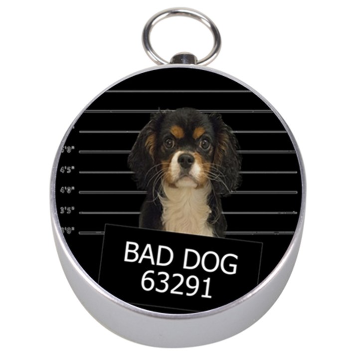 Bad dog Silver Compasses