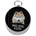 Bad dog Silver Compasses Front