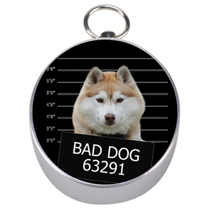 Bad dog Silver Compasses