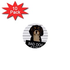 Bad dog 1  Mini Buttons (10 pack) 