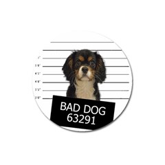 Bad dog Magnet 3  (Round)