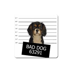 Bad dog Square Magnet