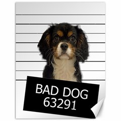 Bad dog Canvas 12  x 16  