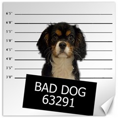 Bad dog Canvas 20  x 20  