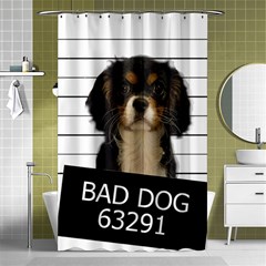 Bad dog Shower Curtain 48  x 72  (Small) 