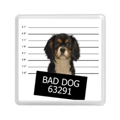 Bad dog Memory Card Reader (Square) 