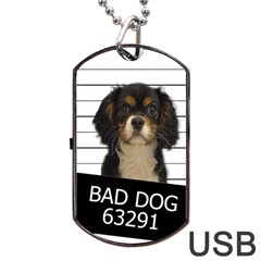 Bad dog Dog Tag USB Flash (Two Sides)