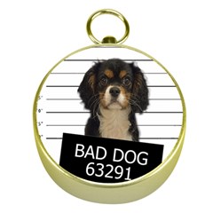 Bad Dog Gold Compasses by Valentinaart