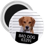 Bad dog 3  Magnets Front