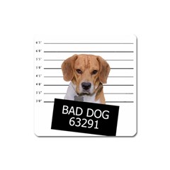 Bad Dog Square Magnet by Valentinaart