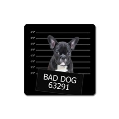 Bad dog Square Magnet