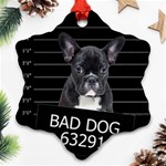 Bad dog Ornament (Snowflake) Front