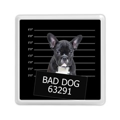 Bad dog Memory Card Reader (Square) 