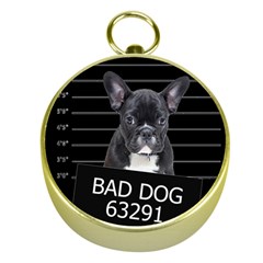 Bad dog Gold Compasses