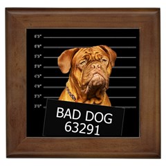 Bad Dog Framed Tiles by Valentinaart