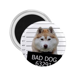 Bad Dog 2 25  Magnets by Valentinaart