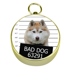 Bad Dog Gold Compasses by Valentinaart