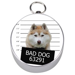 Bad Dog Silver Compasses by Valentinaart