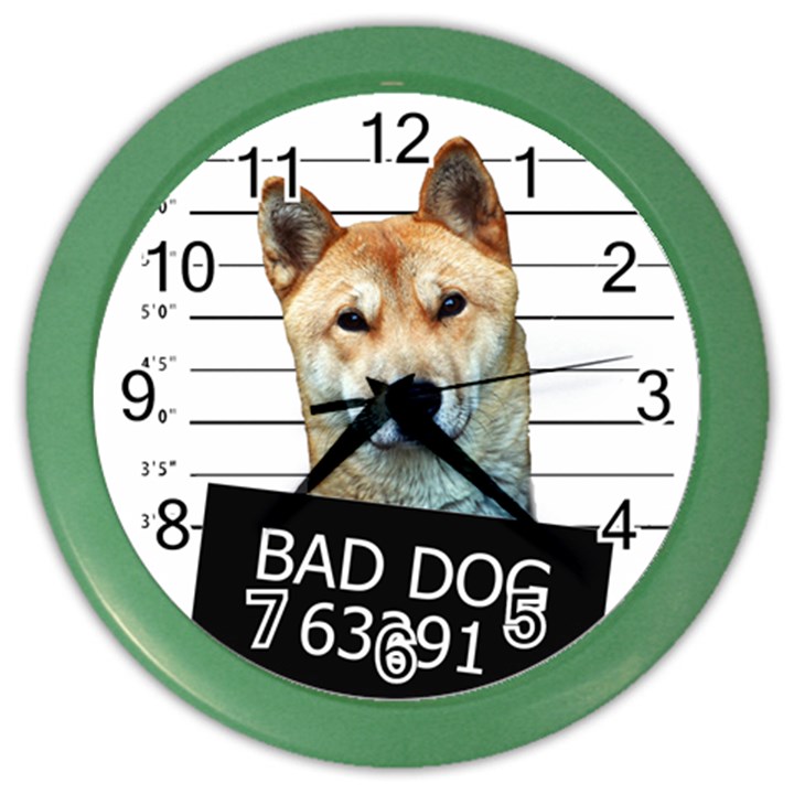 Bad dog Color Wall Clocks