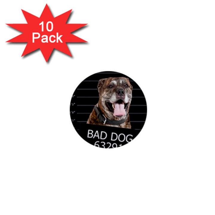 Bad dog 1  Mini Buttons (10 pack) 