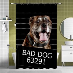 Bad Dog Shower Curtain 48  X 72  (small)  by Valentinaart